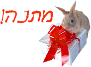 הכנס/י שם ומייל וקבל/י במתנה דו"ח 2014 לטיפול טבעי בהפרעות קשב וריכוז ללא ריטלין